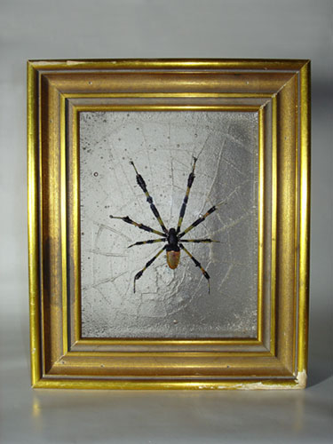 Sculpted insects cast in glass