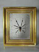 Sculpted insects cast in glass