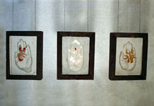 Group of Sculpted insects cast in glass