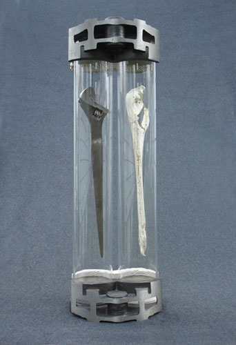 Comparative Anatomy sculpture